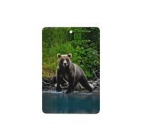 Phayah Ambientadores rectangulares para coche, 4 unidades, con patrón de oso marrón, tabletas de aromaterapia para colgar, tarjeta perfumada, aroma a lavanda