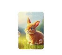 Phayah Ambientadores rectangulares para coche, 4 unidades, diseño de burbujas de conejo, tabletas de aromaterapia, tarjeta perfumada colgante, aroma a lavanda