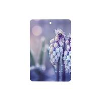 Phayah Ambientadores rectangulares para coche, 4 unidades, diseño de cesta morada, tabletas de aromaterapia, tarjeta perfumada para colgar, aroma a lavanda