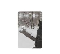 Phayah Ambientadores rectangulares para coche, 4 unidades, diseño de gato en chaqueta, tabletas de aromaterapia automáticas, tarjeta perfumada para colgar, aroma a lavanda