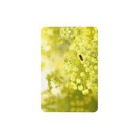 Phayah Ambientadores rectangulares para coche, 6 unidades, diseño de abeja para coleccionar miel, tabletas de aromaterapia automáticas, tarjeta perfumada para colgar, aroma a lavanda