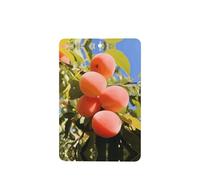 Phayah Ambientadores rectangulares para coche, 6 unidades, diseño de cosecha de albaricoque, tabletas de aromaterapia automáticas, tarjeta perfumada para colgar, aroma a lavanda