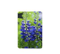 Phayah Ambientadores rectangulares para coche, 6 unidades, diseño de flores de orquídea de campana, tabletas de aromaterapia, tarjeta perfumada colgante, aroma a lavanda