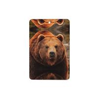 Phayah Ambientadores rectangulares para coche, 6 unidades, tabletas de aromaterapia con patrón de oso pardo, tarjeta perfumada colgante, aroma de lavanda que elimina el olor