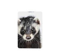 Phayah Ambientadores rectangulares para colgar en el coche, con aroma a lavanda, 4 unidades, de Wolverine In The Snow