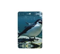 Phayah Cool Fish Penguin Pattern Lavanda Aroma Car Aroma Rectangular Hanging Fragrance Tablet Car Interior Fragancia Ambientador 6p