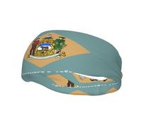 Phayah Diadema deportiva con diseño de bandera de Delaware que absorbe la humedad para hombres y mujeres, correr, ciclismo, yoga, fitness, entrenamiento