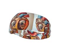 PHAYAH Diadema deportiva con patrón de gráfico de corazón de anatomía humana, adecuada para correr, yoga, baloncesto, banda elástica de humedad
