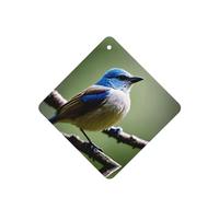 Phayah Ethereal Nightingale - Ambientador de fragancia cuadrada para colgar en el interior del coche, 6 unidades