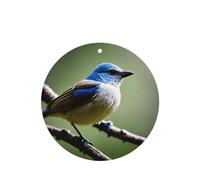 Phayah Ethereal Nightingale - Ambientador de fragancia para el interior del coche, aroma de lavanda, forma redonda, 6 unidades