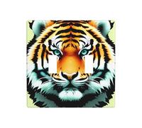 Phayah Little Fat Tiger Head - Placas de interruptor de luz de doble palanca decorativas para baño, dormitorio, cocina, 4.5 x 4.5 pulgadas