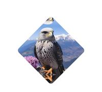 Phayah Mountain Top Falcon - Ambientador cuadrado para coche, diseño de halcón, 6 unidades, para cajones de armario de automóviles