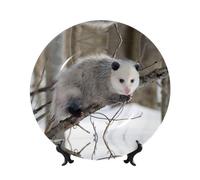 PHAYAH Opossum in Snow Pattern Bone Porcelain Decorative Plate Durable Smooth and Perfect Decor for Home, Office and Coffee Shop