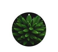 Phayah Pastilla de fragancia para colgar en el interior del coche, con aroma a lavanda, aroma de abeto, follaje, 6 unidades