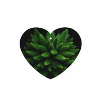 Phayah Pastilla de fragancia para colgar en el interior del coche, con aroma a lavanda, aroma de abeto, follaje, 6 unidades