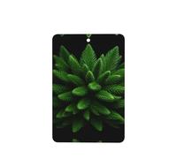 Phayah Pastilla de fragancia rectangular para colgar en el interior del coche, aroma de abeto, follaje, aroma de lavanda, 6 unidades