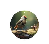 Phayah Predatory Little Perching Bird Pattern Lavender Aroma Car Aroma Round Shape Hanging Fragrance Tablet Car Interior Fragrance Freshener 4p