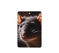 Phayah Rat'S Head - Ambientador rectangular con aroma a lavanda para coche, 6 unidades