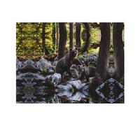 PHAYAH Rge And Small - Manta de franela con patrón de osos negros de 40 x 30 pulgadas para cama, sofá, noche de cine, campamento y viajes, manta cálida ultrasuave