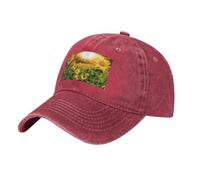 PHAYAH Sunflowers Under Clouds - Gorra de béisbol lavada con patrón de girasoles bajo las nubes, gorra deportiva de mezclilla, tamaño ajustable para hombres y mujeres, rosso, Talla única