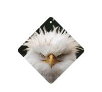 Phayah Tarjetas cuadradas de ambientadores para coche, 6 unidades, con patrón de águila calva, tabletas de aromaterapia para colgar, tarjeta perfumada, aroma a lavanda