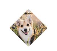Phayah Tarjetas cuadradas de ambientadores para coche, 6 unidades, con patrón de perro, tabletas de aromaterapia, tarjeta perfumada para colgar, aroma a lavanda que elimina el olor