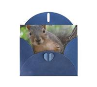 PHAYAH Tarjetas de felicitación en blanco con diseño de ardilla en el árbol con sobres, 10 x 15 cm, tarjetas de agradecimiento para Navidad, vacaciones, cumpleaños, graduación, aniversario, color azul