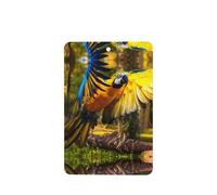 Phayah Yellow Wings - Ambientador rectangular para coche, diseño de loro azul, aroma a lavanda, 6 unidades, para coche, armario, cajón, eliminar