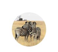 Phayah Zebras On South Africa - Ambientador de coche con aroma a lavanda, forma redonda, para colgar, tarjeta perfumada, 6 unidades, para coches, armario, cajón, eliminar