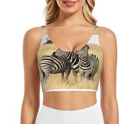 PHAYAH Zebras On South Africa - Sujetadores deportivos para mujer, chaleco de yoga, almohadillas extraíbles para ejercicio, fitness, pilates, danza, Negro, S