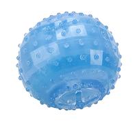 Phefop Hueso de Juguete para Masticar Refrescante para Mascotas para Verano, Palo de Enfriamiento Interactivo para Perros Medianos y Grandes, Material TPR, Promueve la Hidratación y Reduce el Dolor