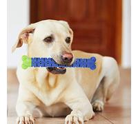 Phefop Juguete para Masticar con Cepillo de Dientes para Perros, Palo de Limpieza de Dientes de Silicona para Perros, Juguete Interactivo para Masticar para Razas Pequeñas, Medianas y Grandes