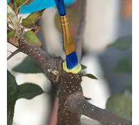 Phefop Pasta de Injerto Bonsai, Agente Curativo de Heridas para Plantas | Sellador de Poda con Brocha, Resina Acrílica para Cuidado de árboles en Ramas Cortadas, Daños por Insectos y Reparación de