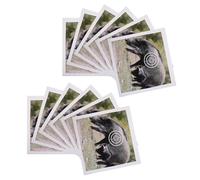 PHENOFICE 50 Unidades Blancos de Tiro Forma de Cerdo en Papel para Práctica al Aire Libre, Visibles Marcas de Disparo y Anillos de Puntuación Claros, Ideales para Arqueros y Tiro en Jardín