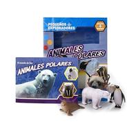 Phidal Animales Polares Pequeños Exploradores - Libros de actividades para niños, 22 páginas para descubrir datos curiosos, 4 figuras