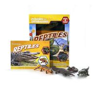 Phidal Reptiles Pequeños Exploradores - Libros de actividades para niños, 22 páginas para descubrir datos curiosos, 4 figuras