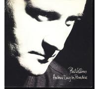 Phil Collins - Another day in paradise (1989) / Vinyl single [Vinyl-Single 7'']