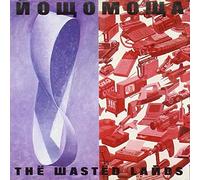 Phil Manzanera - Wasted Lands [Import]