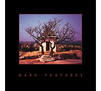 Phil Western & Tim Hill - Dark Features [Vinilo]