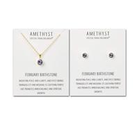 Philip Jones Juego de collar y aretes chapados en oro con piedra natal de febrero (amatista) creado con cristales de Zircondia®