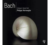 Collegium Vocale Gent - Philippe Herreweghe - Bach