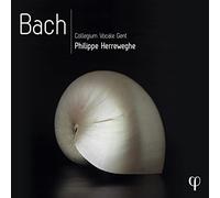 Philippe Herreweghe / Collegium Vocale Gent - Philippe Herreweghe - Bach