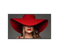 PHILIPS 50" LCD VA 4K Ultra HD HDMI Altavoces 50BDL4650D/00