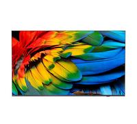 Philips - 50HFL6214U 127 cm (50"") 4K Ultra HD Smart TV Wifi Antracita 400 cd / m² Pantalla flexible