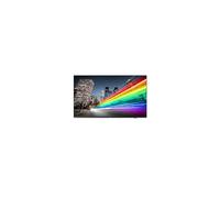 Philips 55BFL2214/12 pantalla de señalización 139,7 cm (55") LED Wifi 350 cd / m² 4K Ultra HD Negro Android TV