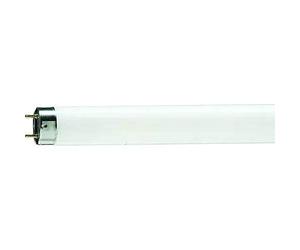 Philips 70621840 Tubo Fluorescente, 18 W
