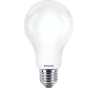 PHILIPS 929002372702 CorePro LEDBulbND 150W E27 A67 840 FR G hardware, otras herramientas, multicolor