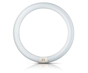 Philips Aro fluor. G10q 22W 840 Master Circular TL-E EC:EPREL:423506