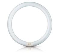 Philips Aro fluor. G10q 32W 865 Master Circular TL-E True