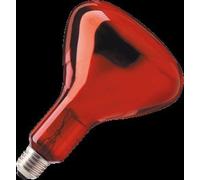Philips Bombilla de luz infrarroja con reflector - 57521025